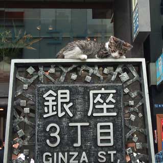 2010062801.jpg