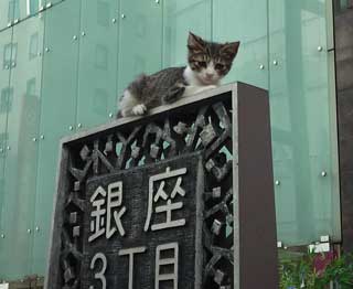 2010062802.jpg